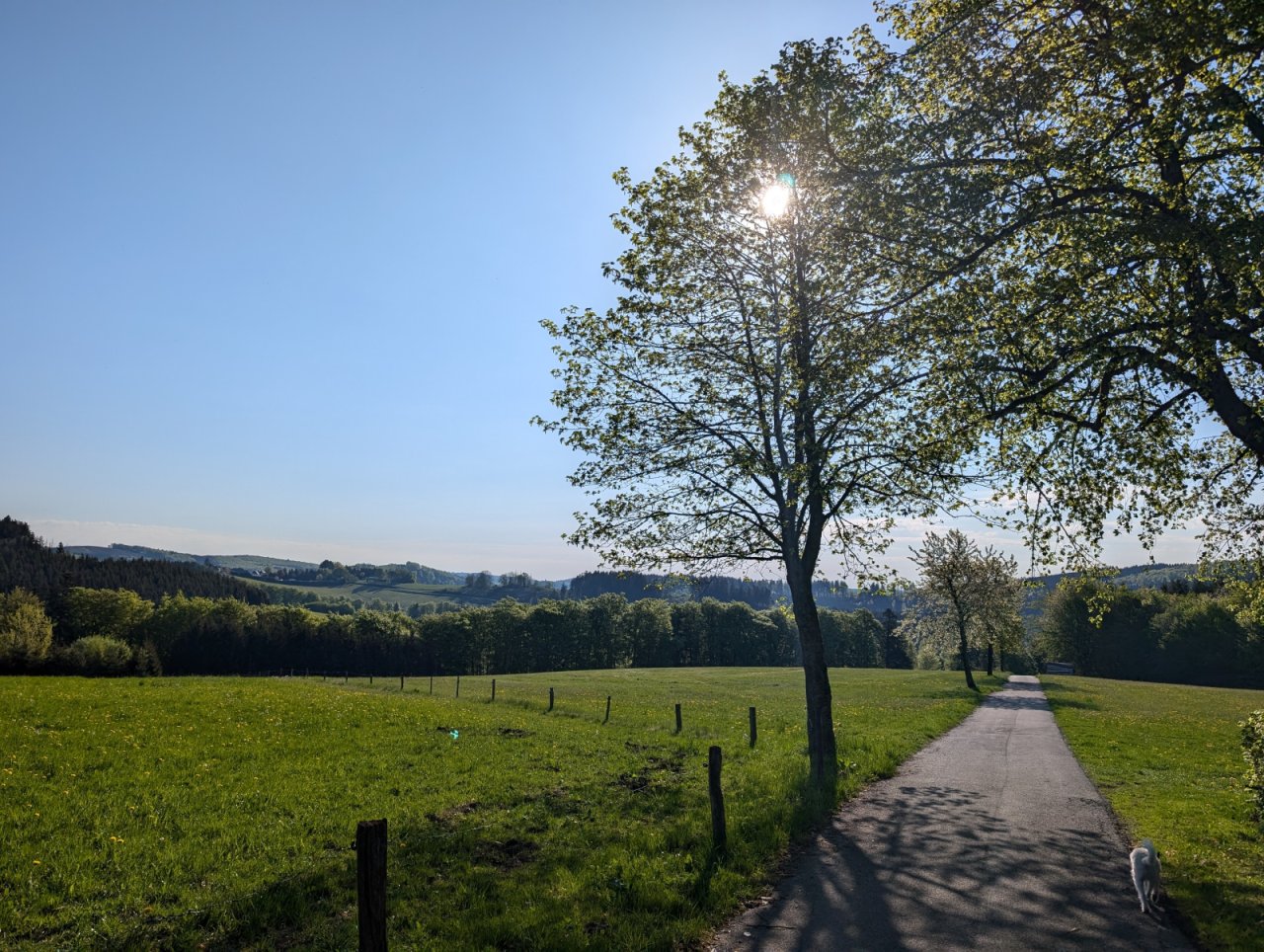 Wanderweg Wanderweg